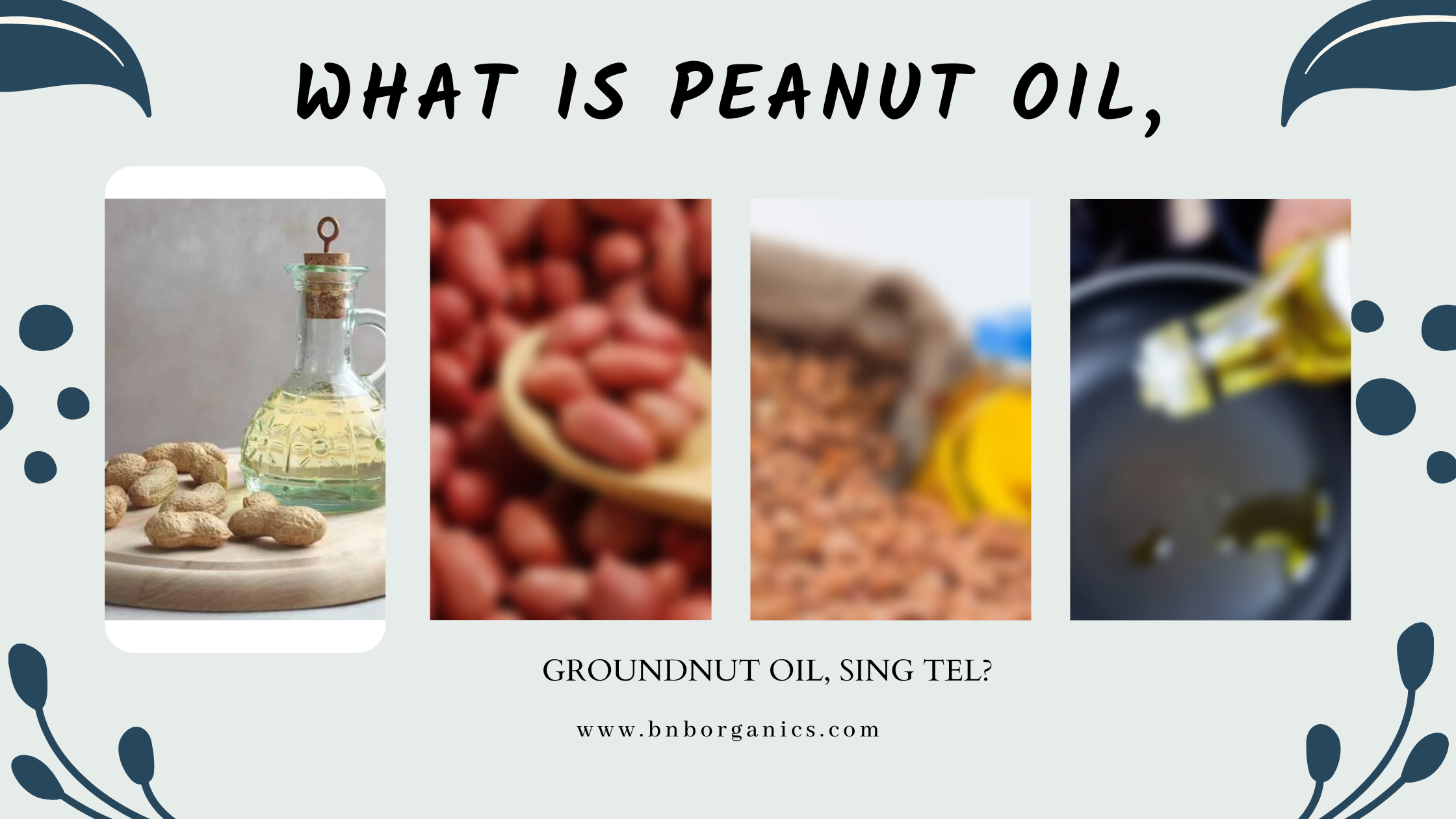 What is Peanut Oil, Groundnut Oil, Sing Tel? B&B Organics