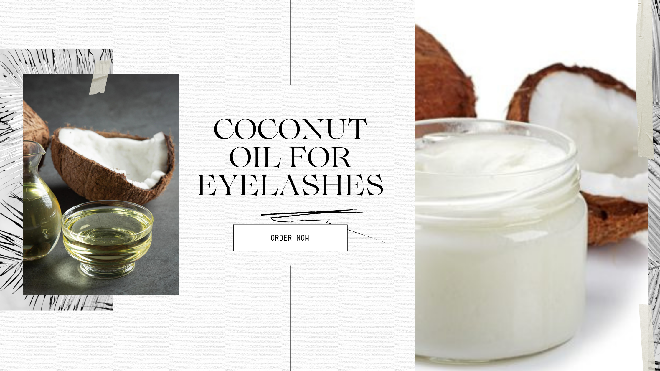 Coconut Oil for Eyelashes Benefits and Precautions B B Organics