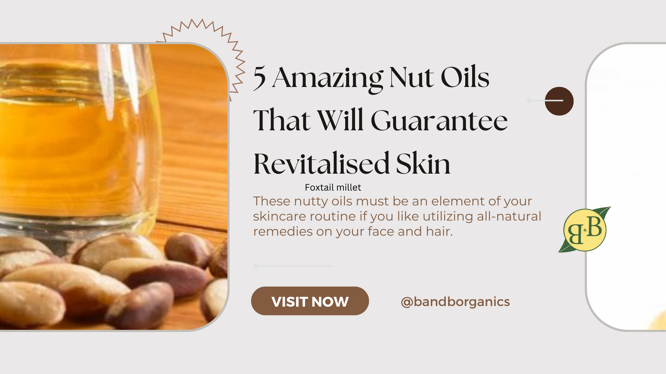 5 Amazing Nut Oils That Will Guarantee Revitalised Skin – B&B Organics