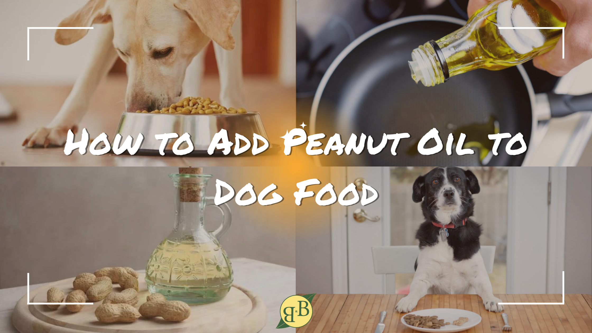 Is vegetable oil top bad for dogs