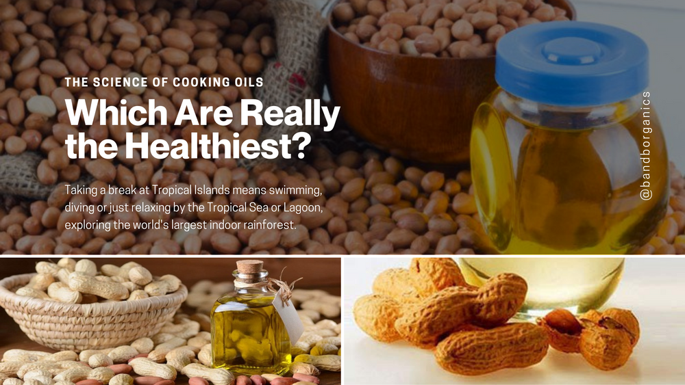 The Science of Cooking Oils: Which Are Really the Healthiest?