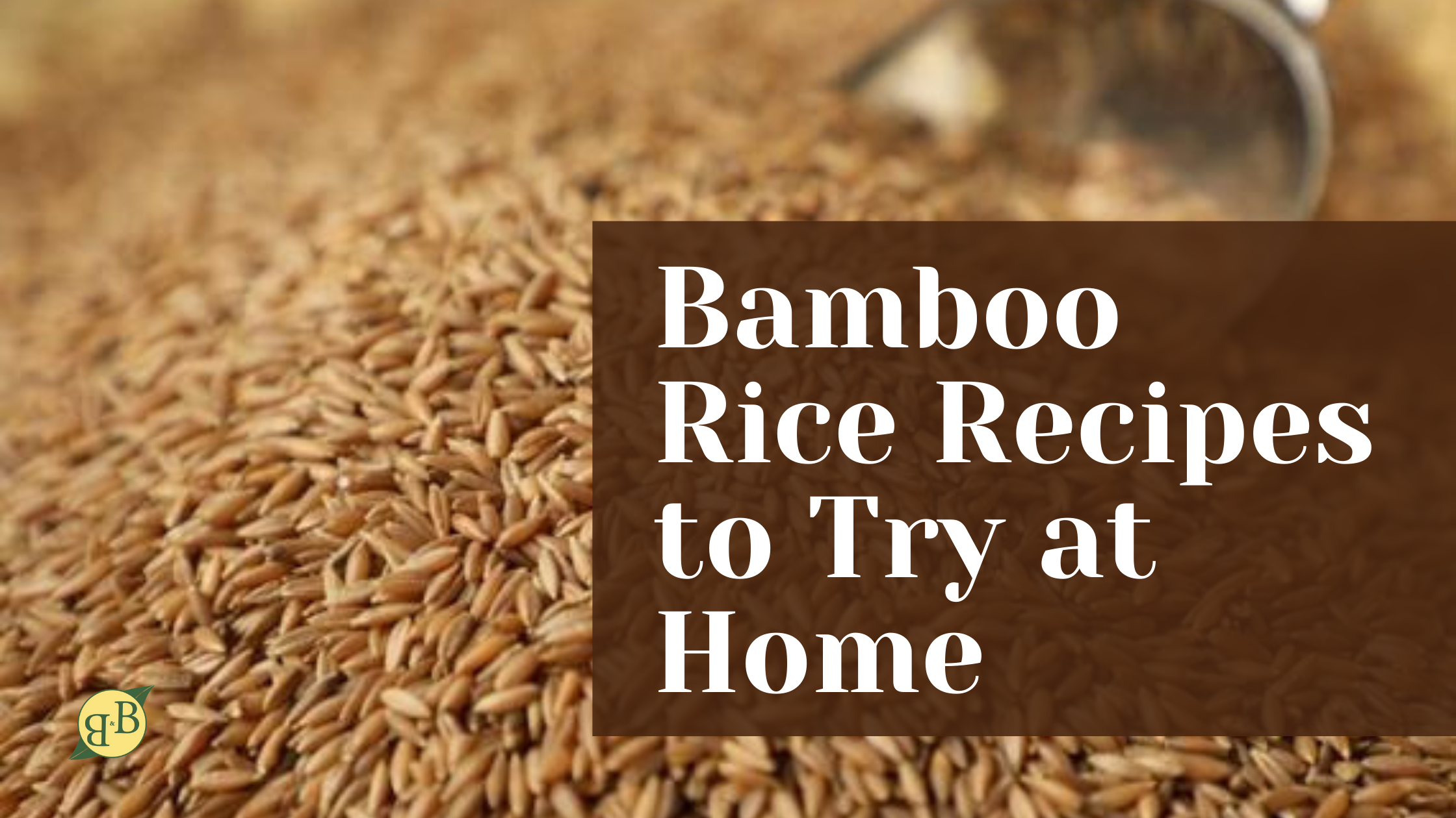 Bamboo Rice Recipes to Try at Home B&B Organics
