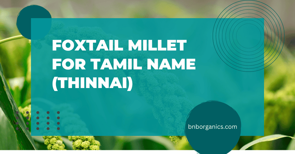 Foxtail Millet (Known As Tinnai in Tamil)