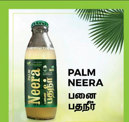 Palm Neera (Panai Neer Drink)