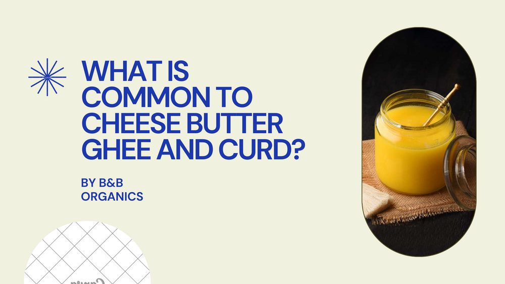 What is common to cheese butter ghee and curd?