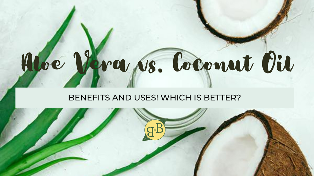 Aloe Vera vs. Coconut Oil—Benefits and Uses! Which Is better?