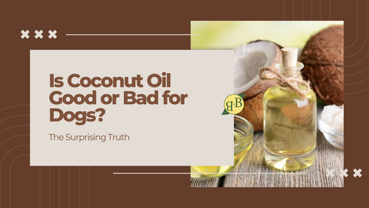 Is Coconut Oil Good or Bad for Dogs? The Surprising Truth