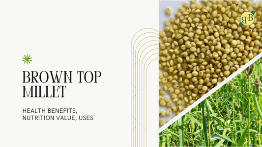 Brown Top Millet Health Benefits, Nutrition Value, Uses