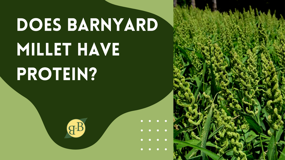 Does barnyard millet have protein?