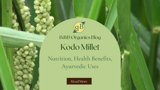 Kodo Millet Nutrition, Health Benefits, Ayurvedic Uses