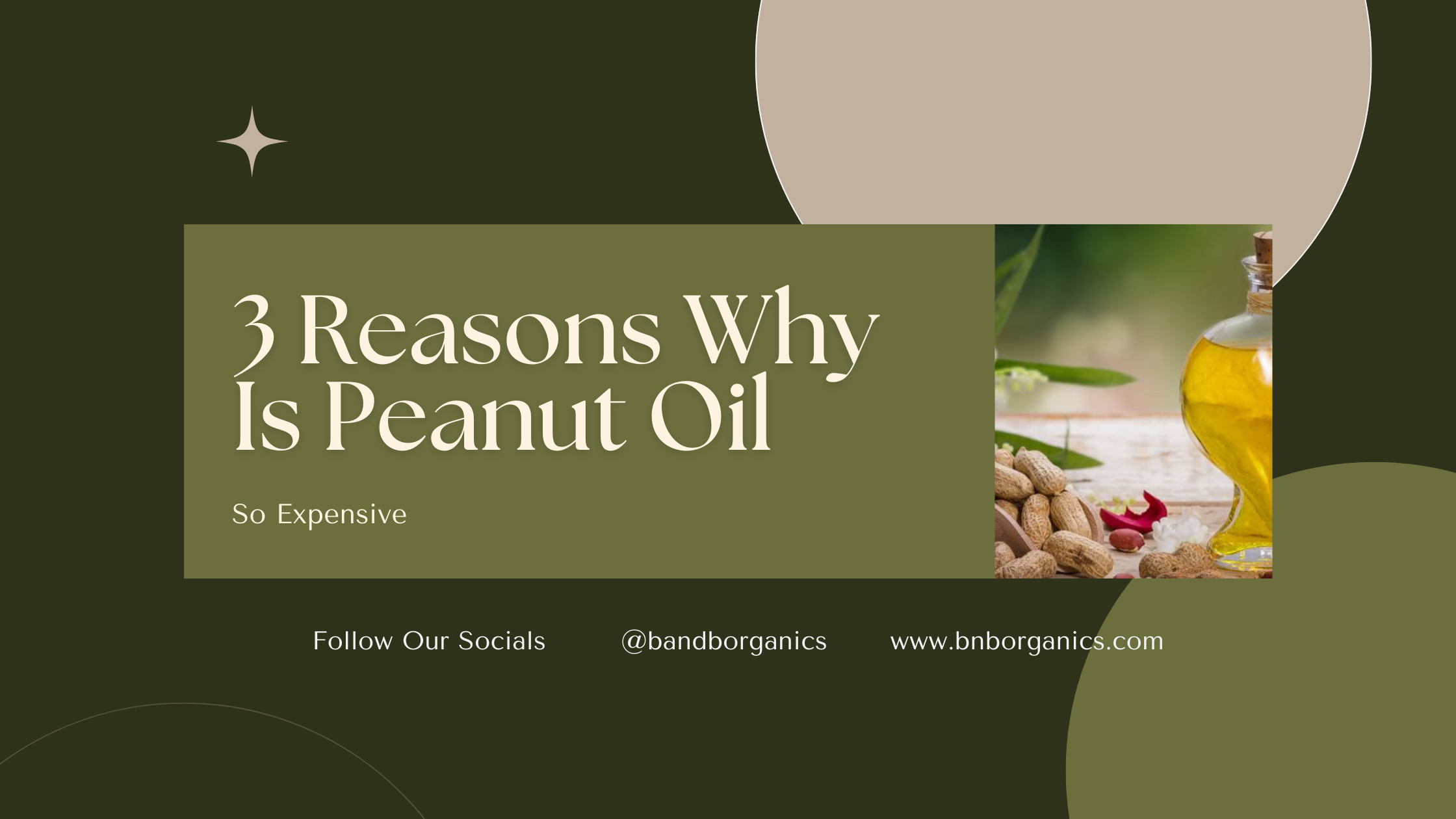 3 Reasons Why Is Peanut Oil So Expensive B&B Organics
