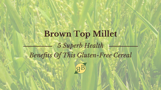 Brown Top Millet 5 Superb Health Benefits Of This Gluten-Free Cereal