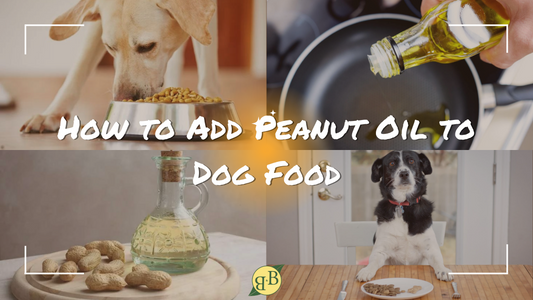 How to Add Peanut Oil to Dog Food
