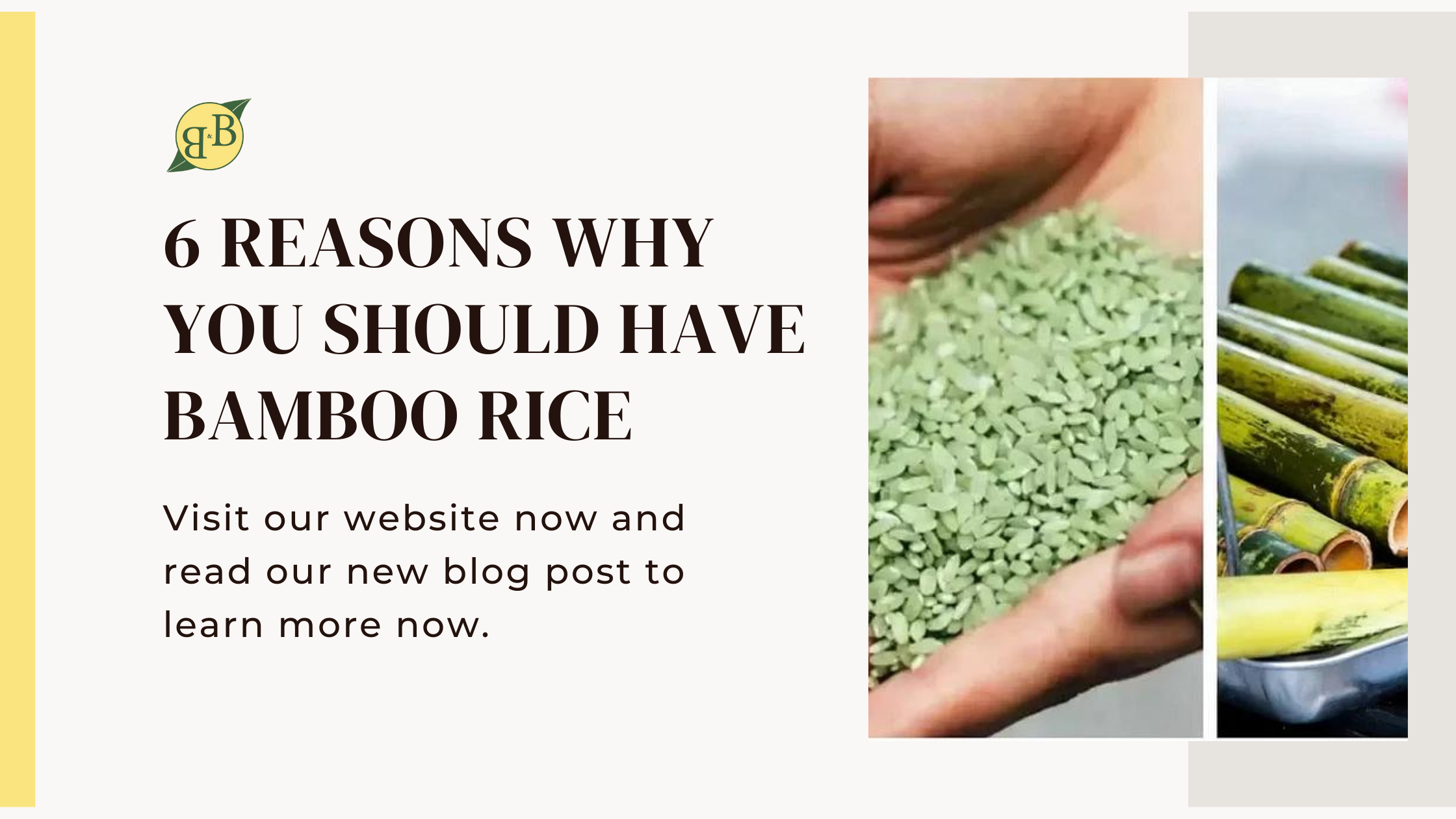 6 Reasons Why You Should Have Bamboo Rice – B&B Organics