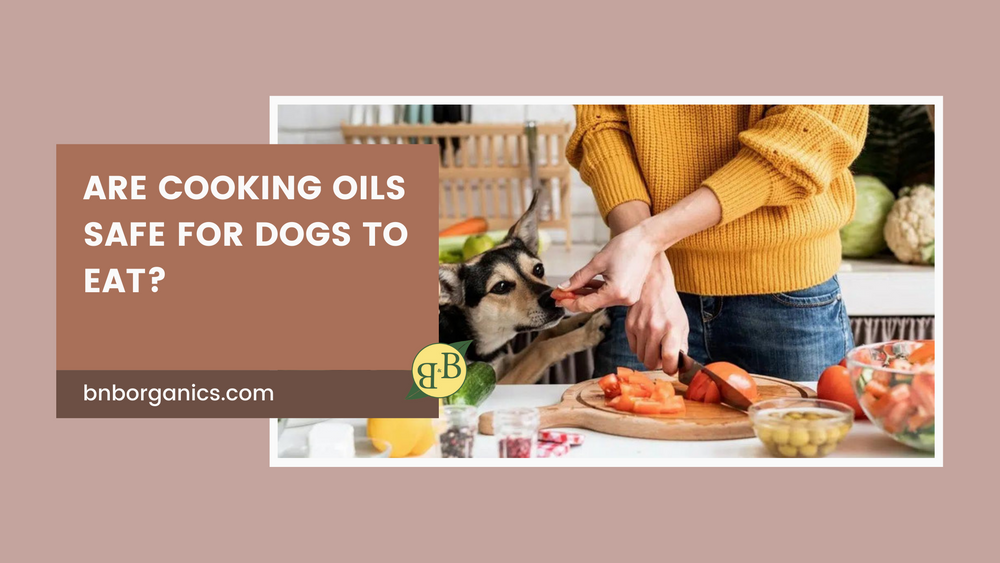 Are Cooking Oils Safe for Dogs to Eat?