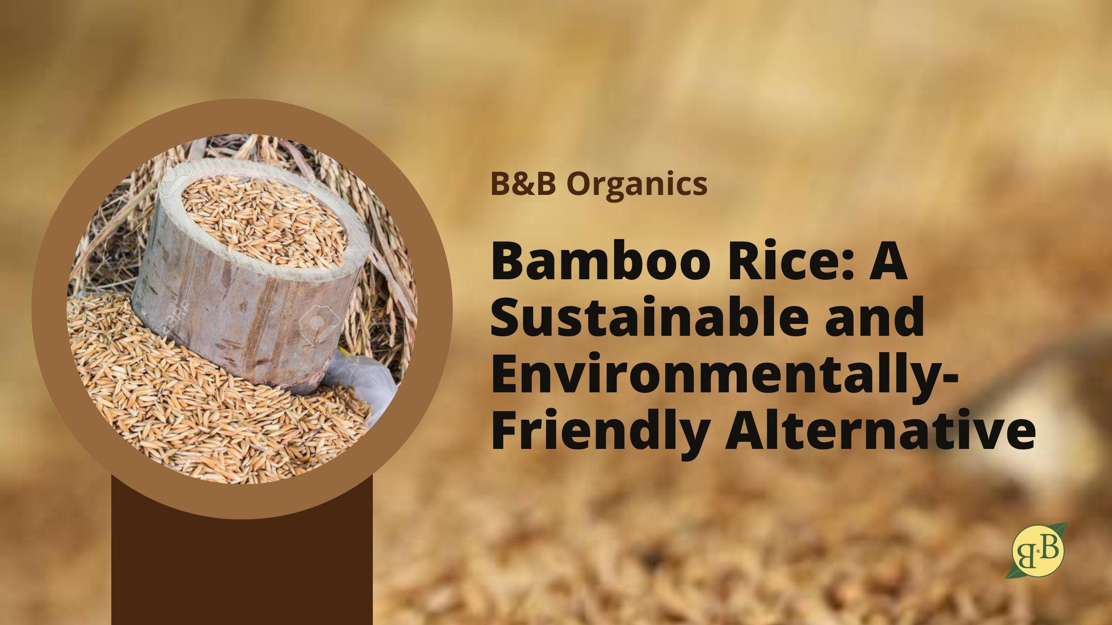 Bamboo Rice: A Sustainable And Environmentally-Friendly Alternative – B ...