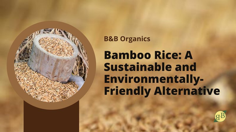 Bamboo Rice: A Sustainable and Environmentally-Friendly Alternative – B ...