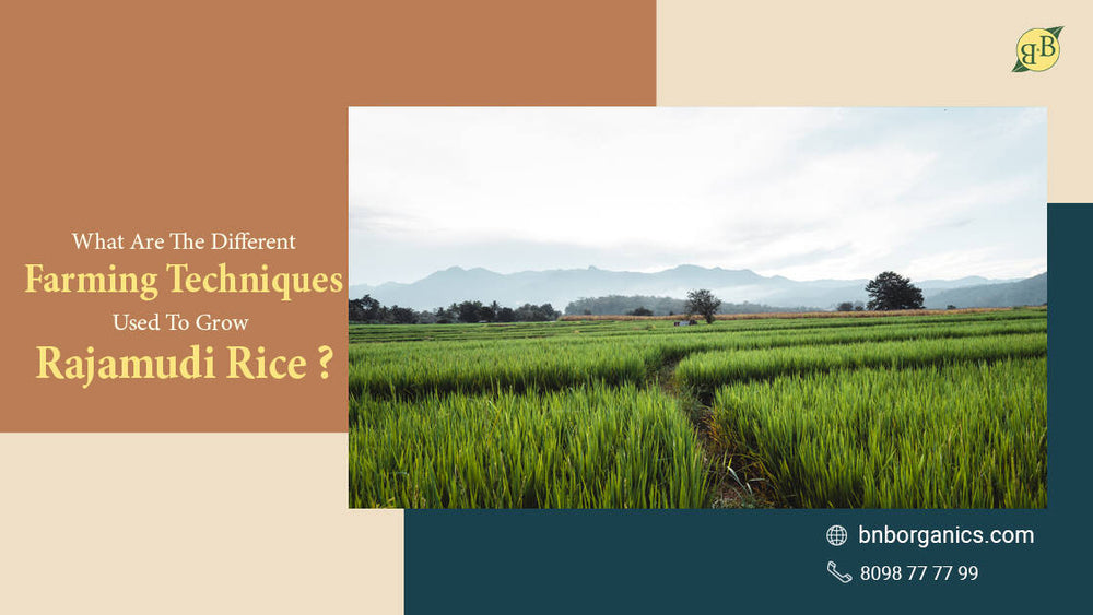 What are the different farming techniques used to grow Rajamudi Rice?