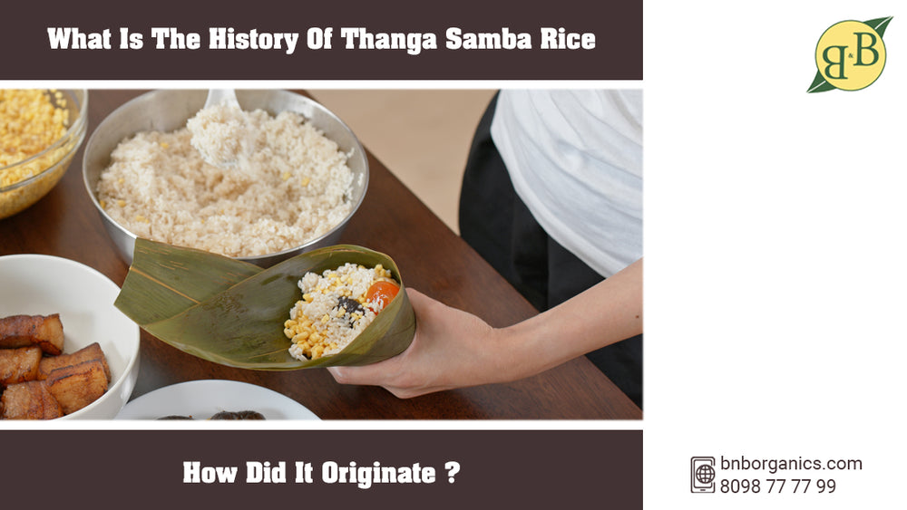 What is the history of Thanga Samba rice and how did it originate?