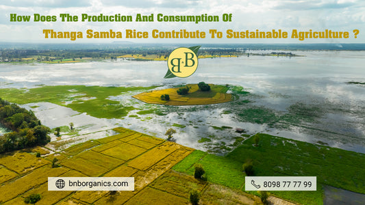 How does the production and consumption of Thanga Samba rice contribute to sustainable agriculture?