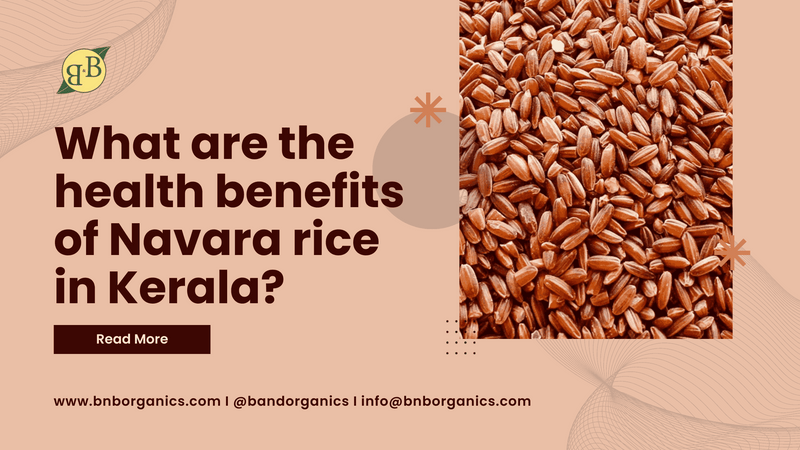 What are the health benefits of Navara rice in Kerala? – B&B Organics
