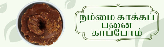 நம்மை காக்கப் பனை காப்போம்